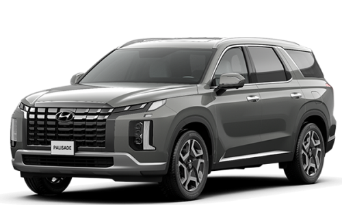 hyundai PALISADE nang tam vi the dai dien trang chu